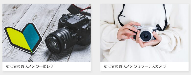 ワンダーワンズの写真